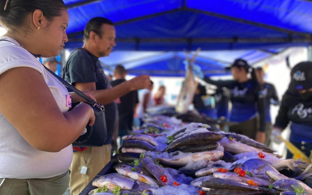 Más de 74 toneladas de pescado se han distribuido en Miranda