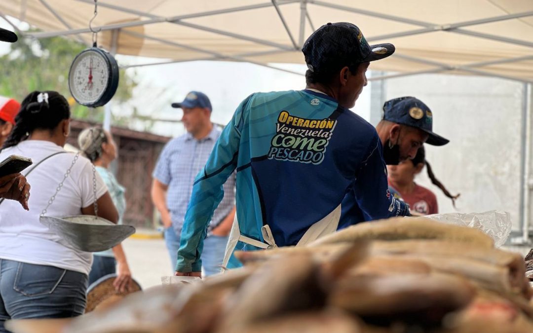 Estos son los puntos de distribución de pescado en Miranda para este viernes