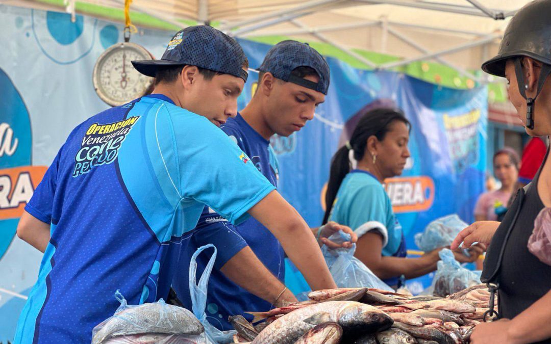 Estos son los puntos de venta de pescado este jueves en Miranda