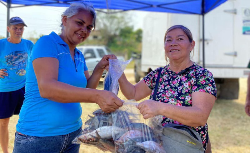 Distribuyen 652 kilos de pescado en Cúa