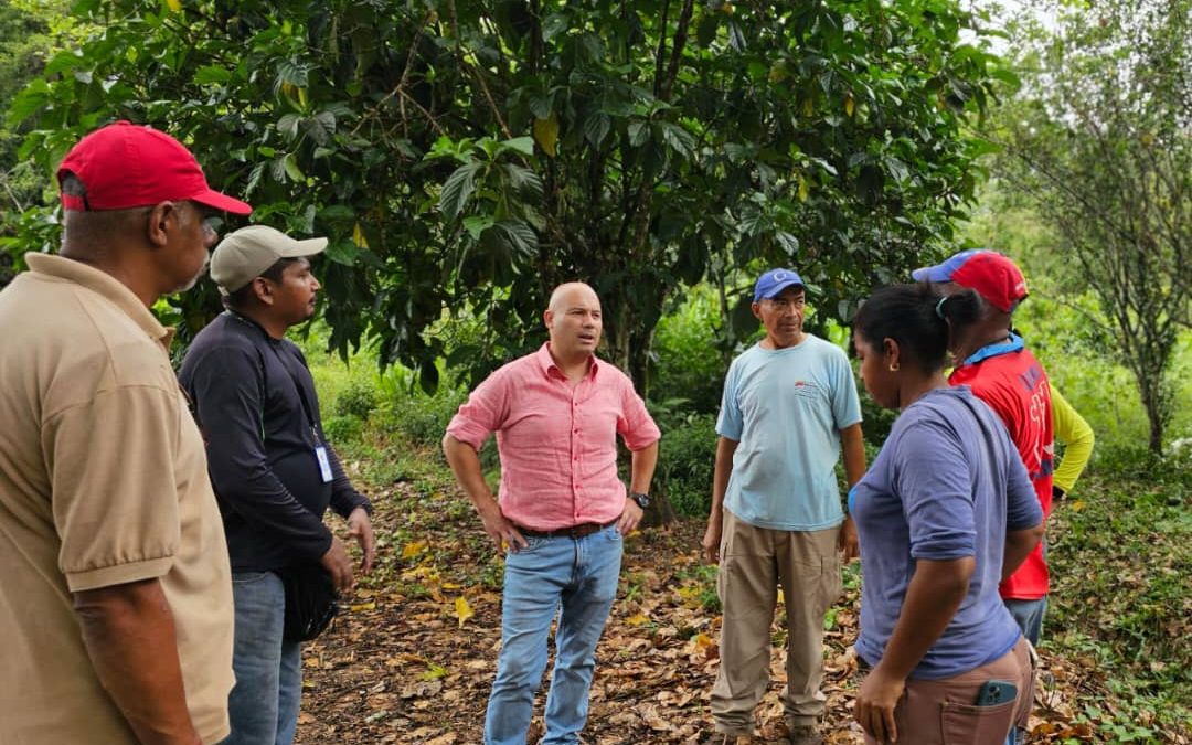 Recuperan áreas verdes del Centro de Investigación del Cacao en Caucagua