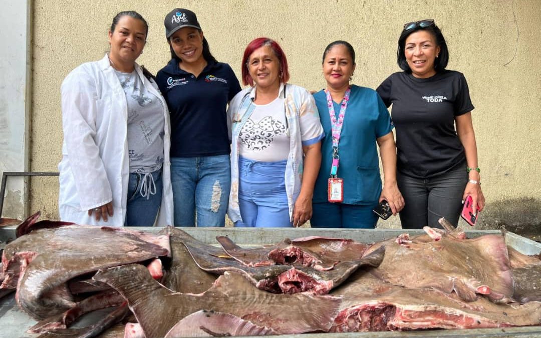 El Cardumen Va distribuye dos toneladas de pescado en Miranda