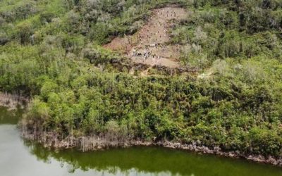 Reforestan Parque Nacional Macarao por el Día del Árbol