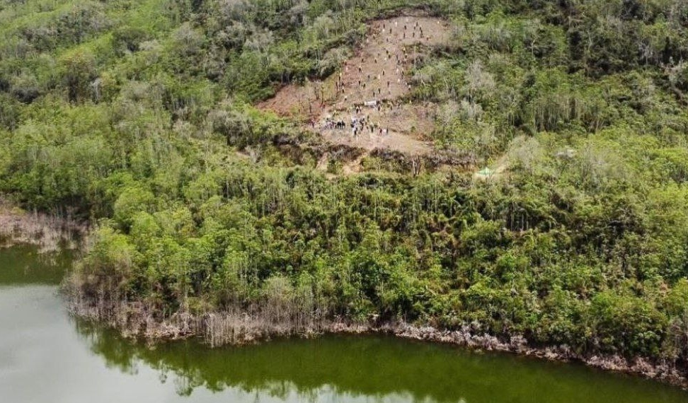 Reforestan Parque Nacional Macarao por el Día del Árbol