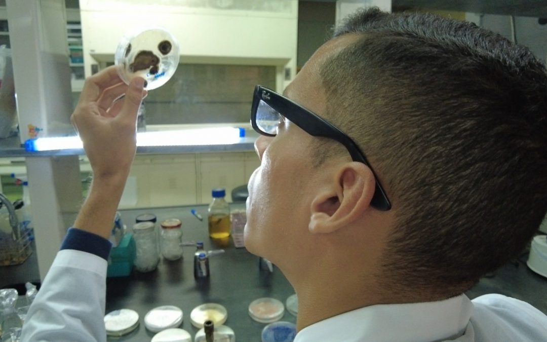 Inician inscripciones para curso sobre función de las proteínas en el IDEA de Miranda