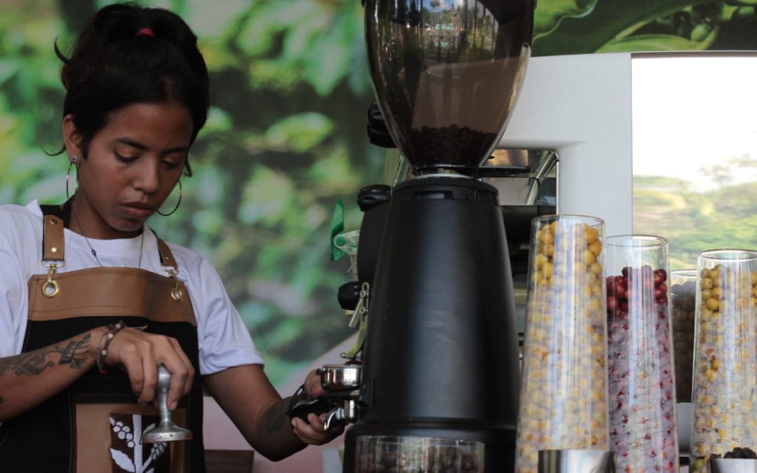 Caficultores de Miranda entran a fase final del concurso del Eicev 2024