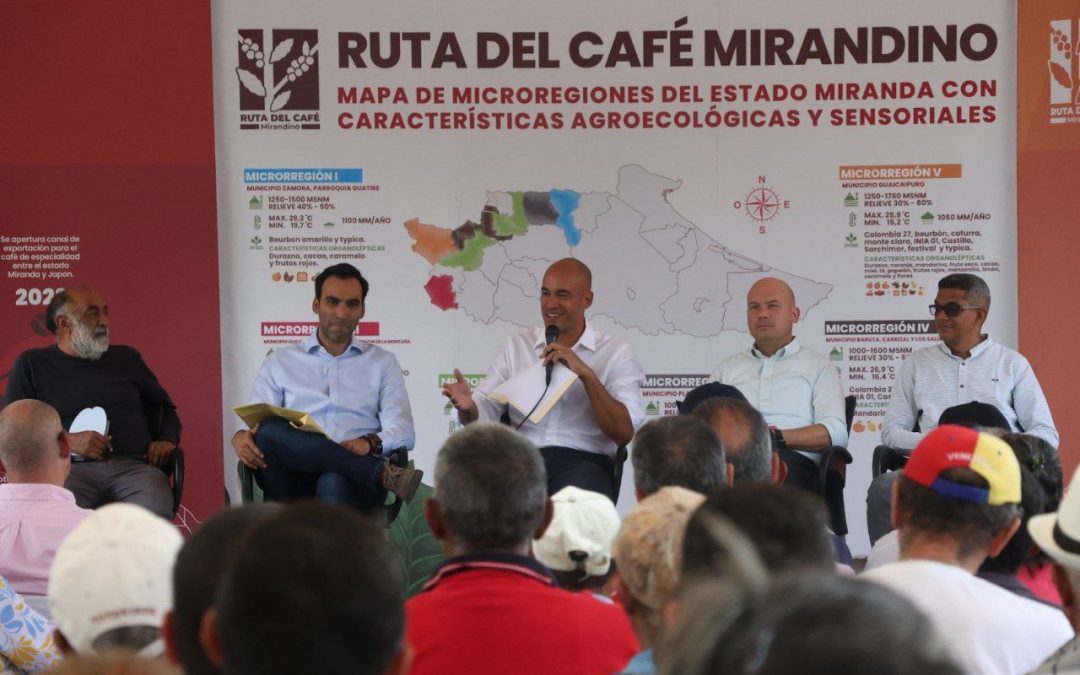 Café mirandino busca certificación de Indicación Geográfica Protegida