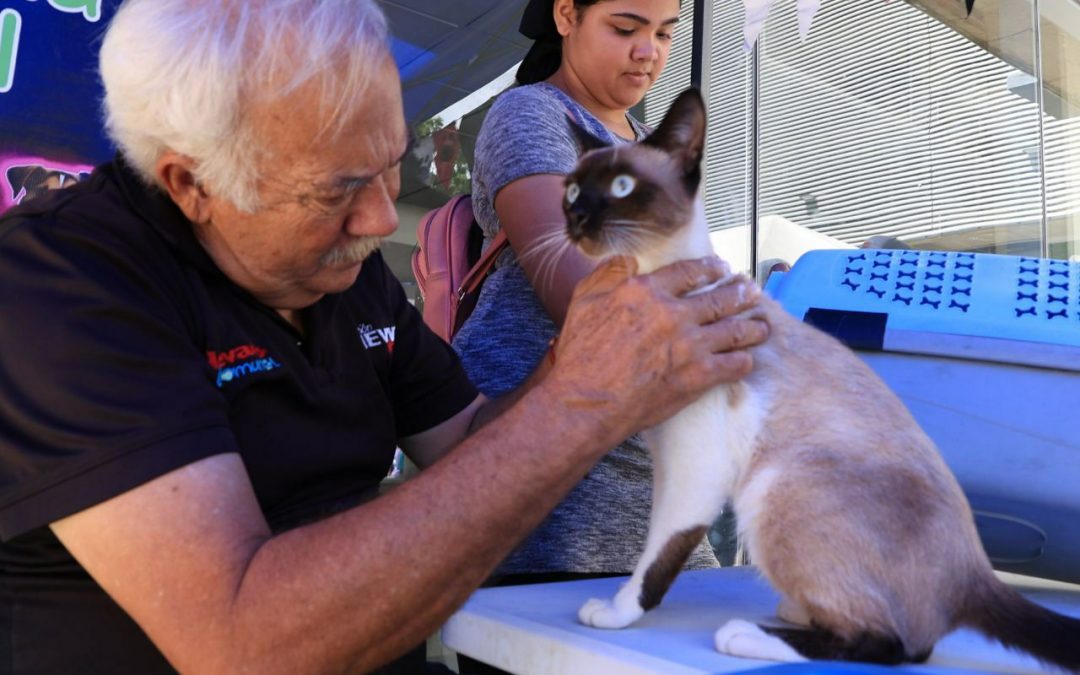 Más de 15.600 mascotas han recibido protección en Miranda
