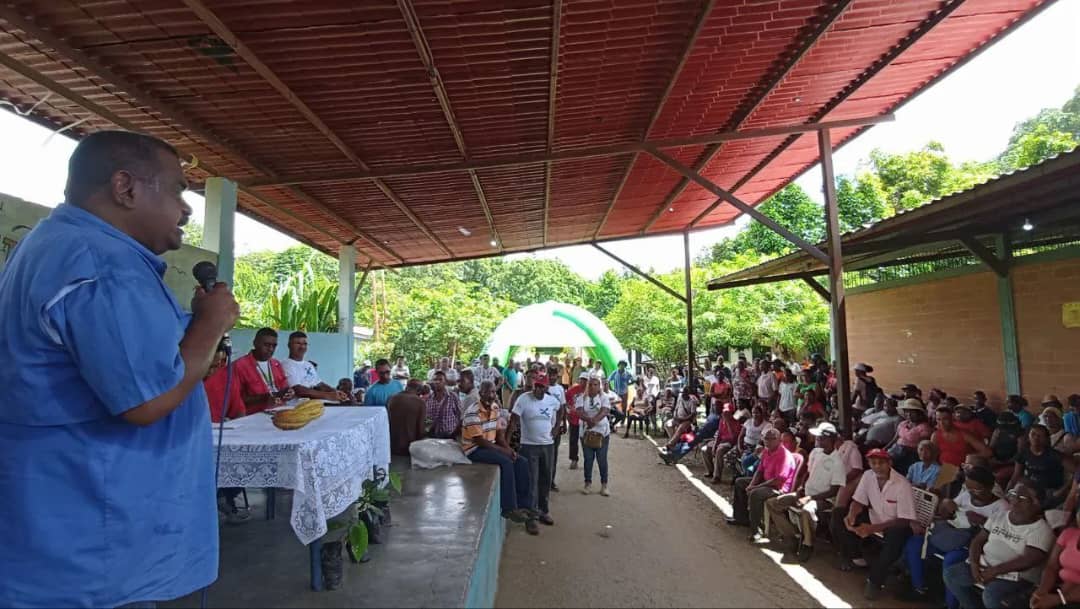 Cacaoteros de Río Chico establecen estrategias para aumentar producción