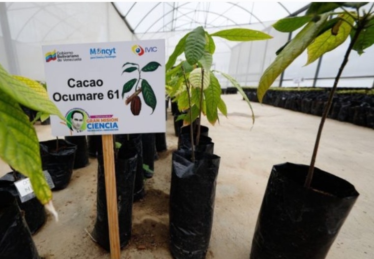 Inaugurado Laboratorio Genético de Plantas en el IVIC