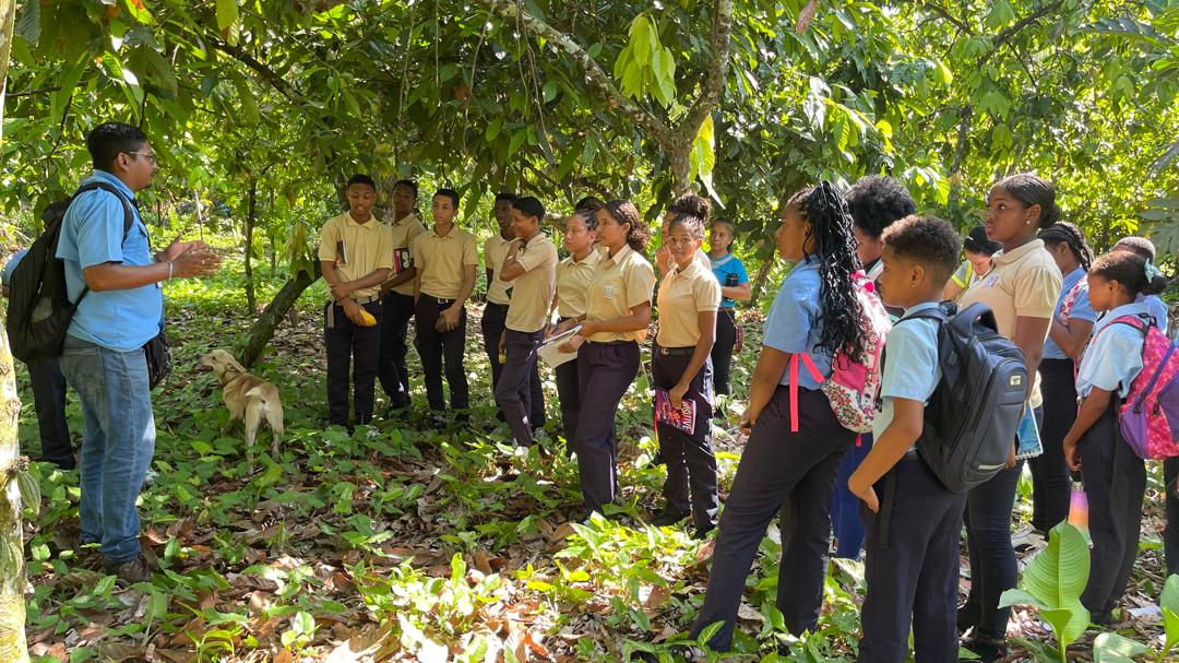 Cordami impulsa formación de nuevos cacaocultores en Miranda