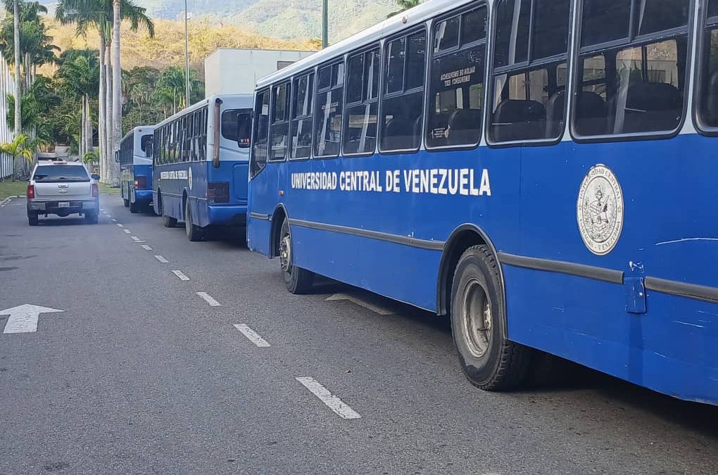 Reactivadas primeras rutas suburbanas de la UCV