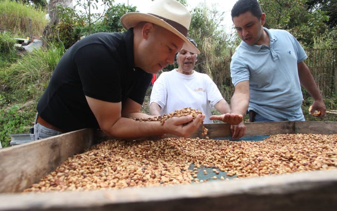 Gobernación impulsa la producción de café de alta calidad y sostenible en la región