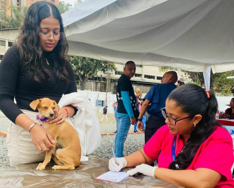 Más de 5 mil animales de compañía fueron atendidos en jornadas veterinarias en Miranda