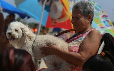 Más de 35 mil animales atendidos en jornadas veterinarias en Miranda durante 2025