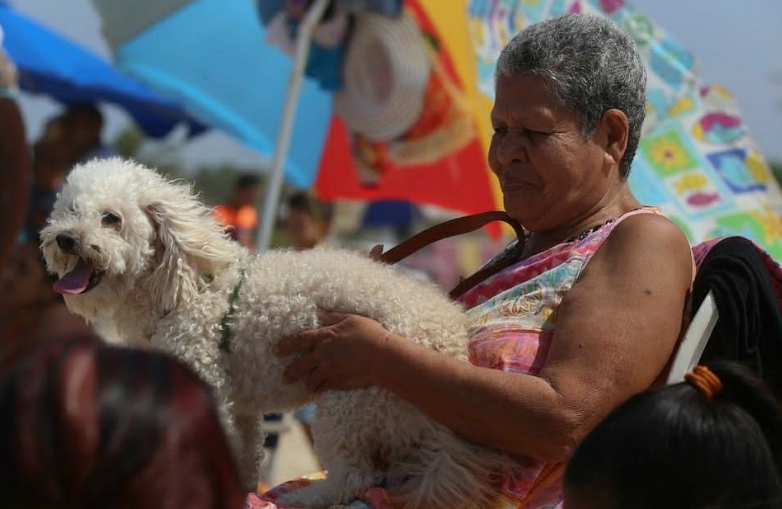 Más de 35 mil animales atendidos en jornadas veterinarias en Miranda durante 2025