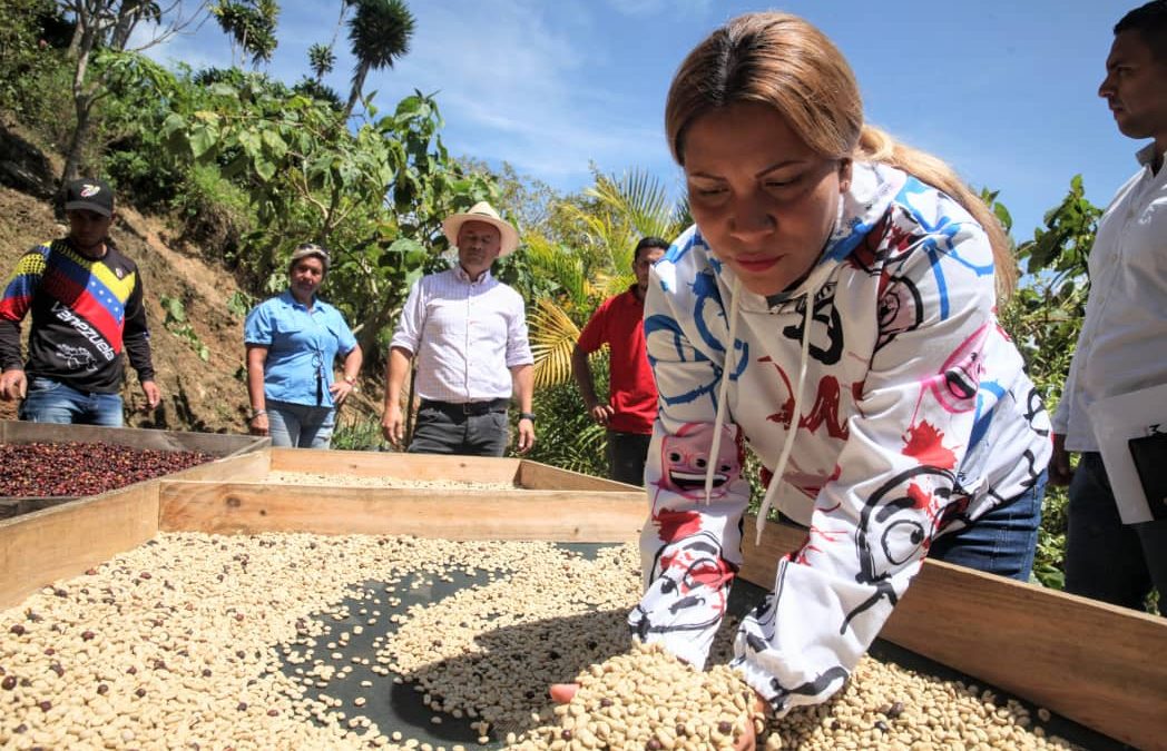 Emerilis García: Cafetalera que da la cara por la mujer mirandina en la finca Bosque de Luz