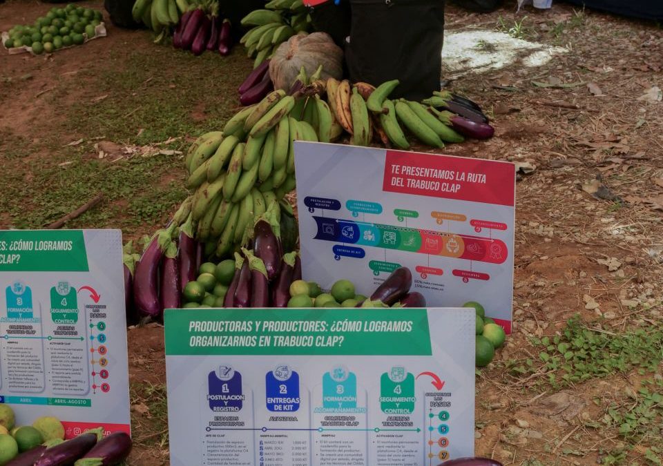 Kits de trabucos CLAP llegan a más de 600 productores mirandinos