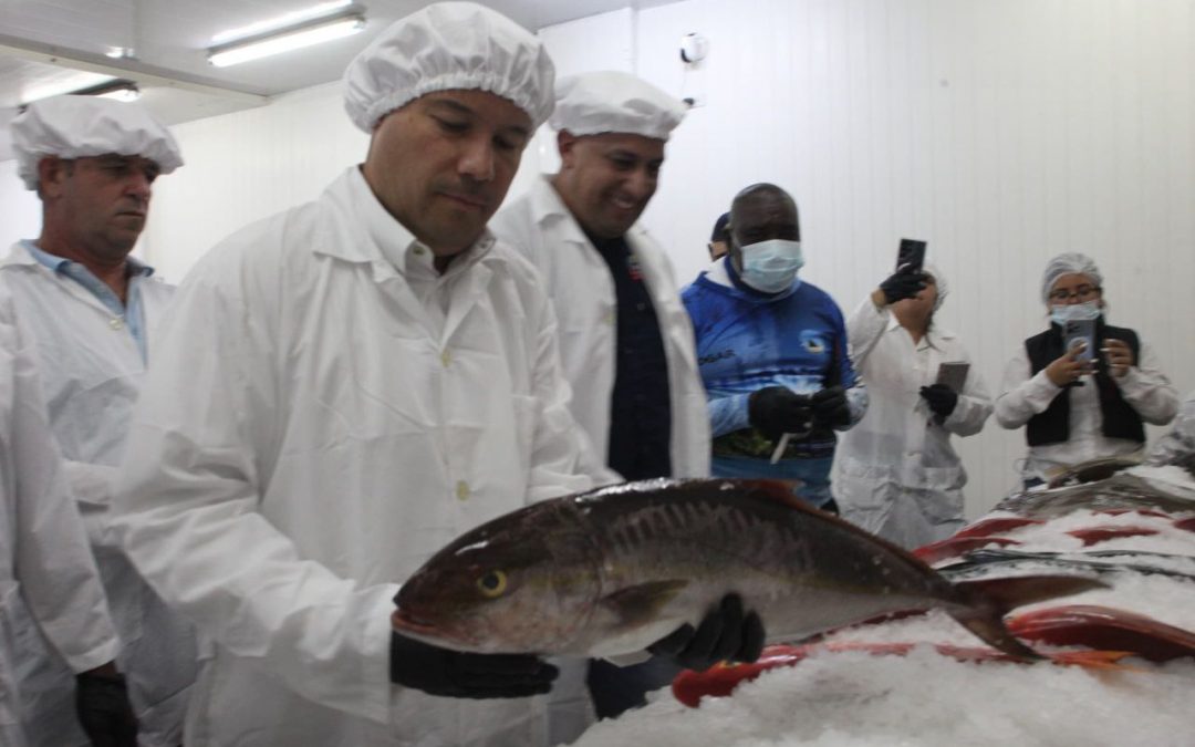 Miranda exporta 24 toneladas de tajalí a China desde Barlovento