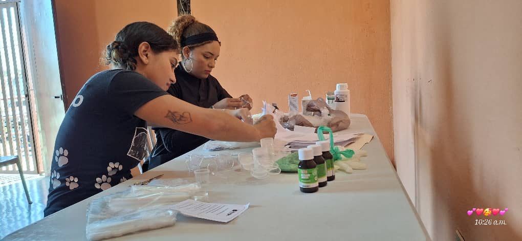 Realizan  jornada de esterilización de animales en Paz Castillo