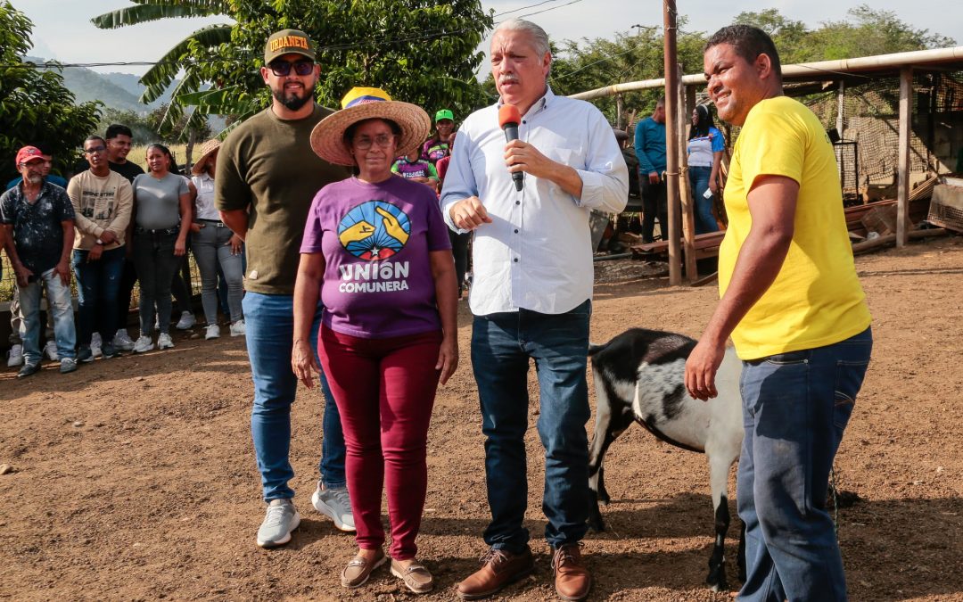 Miranda fortalece la producción regional con Plan Ovino y Caprino desde la Comuna Ña Plácida
