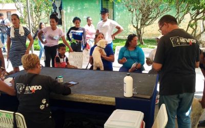 Miranda supera las 98.000 atenciones veterinarias gratuitas en 2025