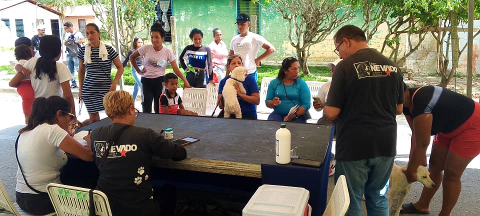 Tres jornadas veterinarias gratuitas activará Misión Nevado en Miranda este fin de semana