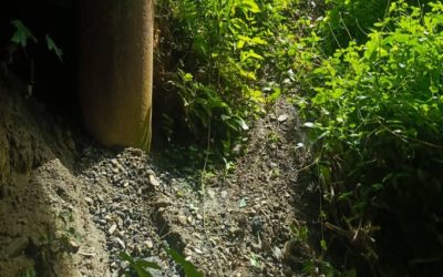 Gobernación y Alcaldía de Páez atienden rampa del Puente Santa Bárbara