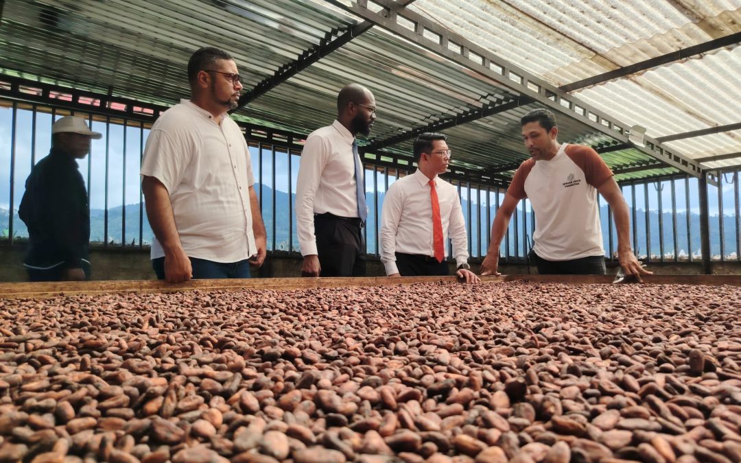 Delegación de Malasia explora potencial exportador del cacao y pesca en Barlovento