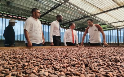 Delegación de Malasia explora potencial exportador del cacao y pesca en Barlovento