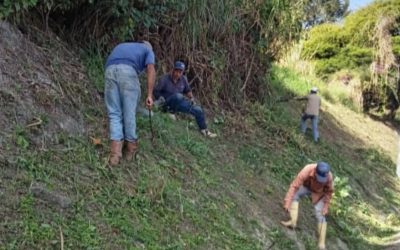 Alcaldía de Guaicaipuro ha desmalezado cinco millones de metros lineales en Los Teques