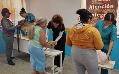 Misión Nevado vacuna a caninos y felinos en Charallave