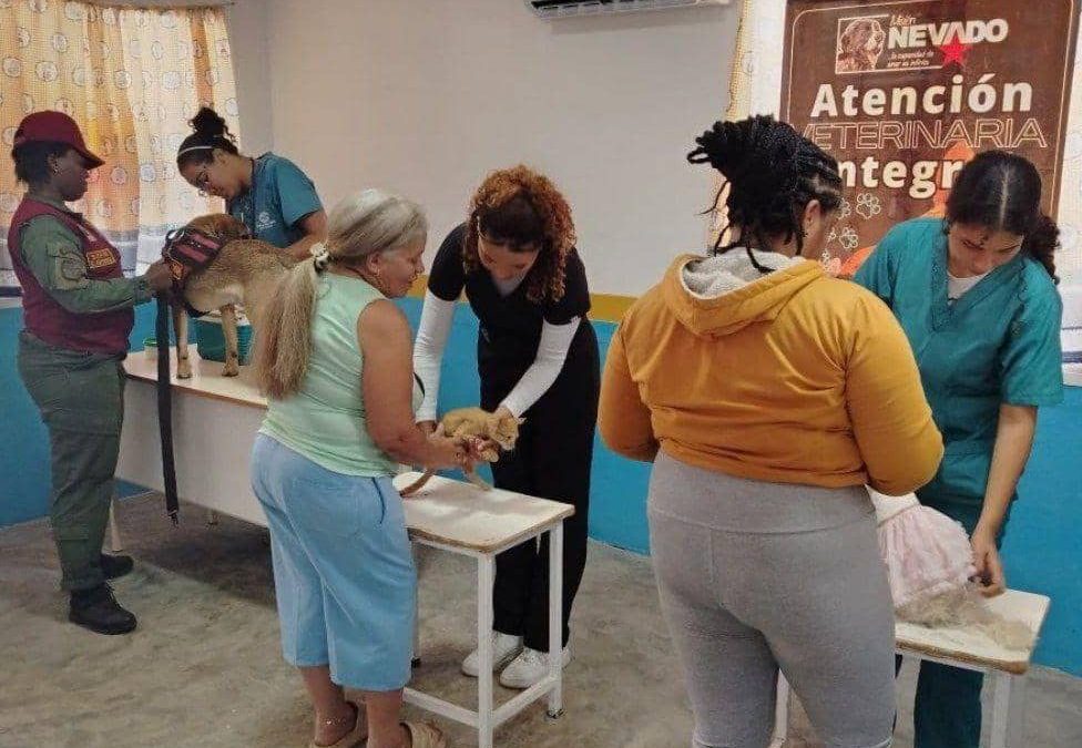 Misión Nevado vacuna a caninos y felinos en Charallave