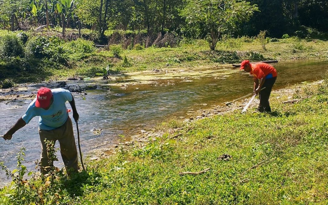 Miranda despliega en las costas jornada de saneamiento y ornato para los Carnavales 2026