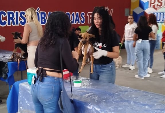 Atendidos 220 animales en Plan Nacional de Vacunación Séxtuple Canina en Charallave