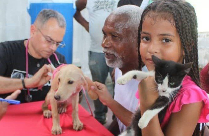 Miranda:  Más de 12 mil animales atendidos en enero con jornadas veterinarias