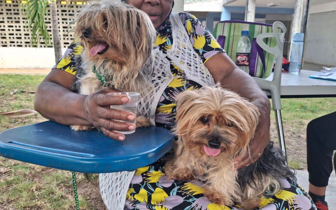 Miranda atiende más de 800 mascotas con jornadas de Misión Nevado en Guaicaipuro