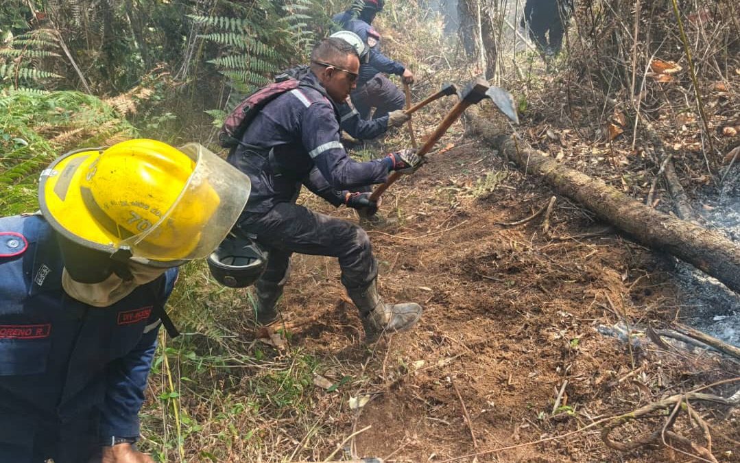 Bomberos de Miranda combaten incendio en el Parque Macarao