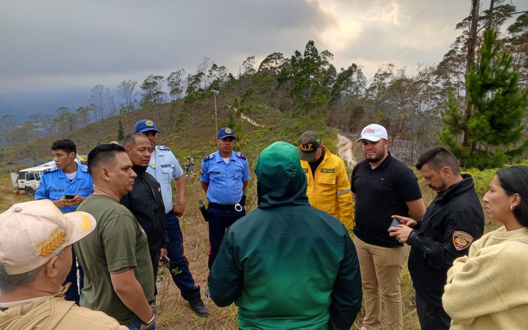 Planificarán plan de reforestación en Parque Nacional Macarao
