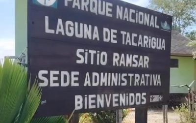 Evalúan rehabilitación de caños en Laguna de Tacarigua