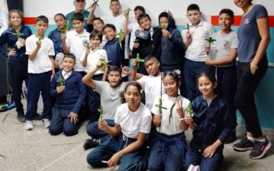 Miranda impulsa relevo generacional de los Palmeros de Chacao