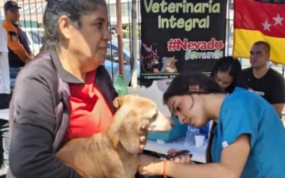 Miranda: Más de 23 mil animales atendidos en 312 jornadas veterinarias en enero y febrero
