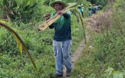 Miranda: Declaran Bien de Interés Cultural a los Palmeros de Marizapa en Acevedo