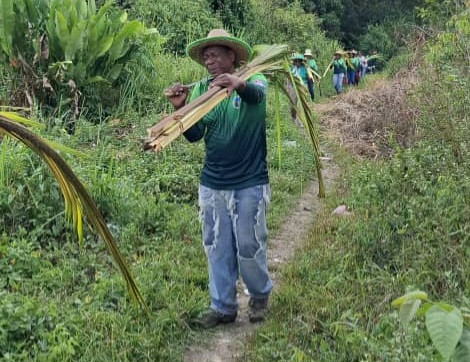 Miranda: Declaran Bien de Interés Cultural a los Palmeros de Marizapa en Acevedo