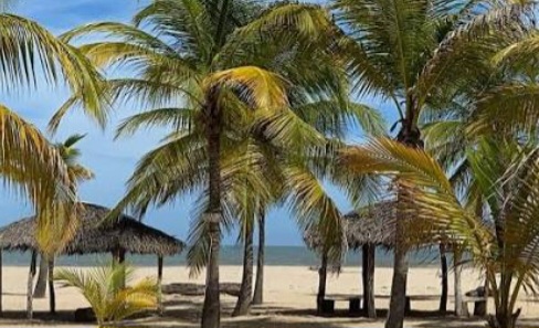 Ofrecen internet gratuito en zonas turísticas y espacios públicos de Pedro Gual