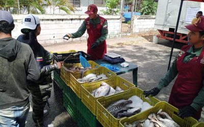 Feria «Venezuela Come Pescado» llegó a Santa Rita en Paz Castillo