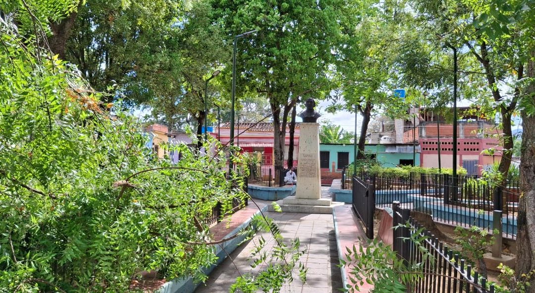 Podan árboles y reparan 16 lámparas en plaza Dr. Francisco Espejo de Santa Lucía del Tuy