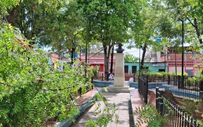 Podan árboles y reparan 16 lámparas en plaza Dr. Francisco Espejo de Santa Lucía del Tuy