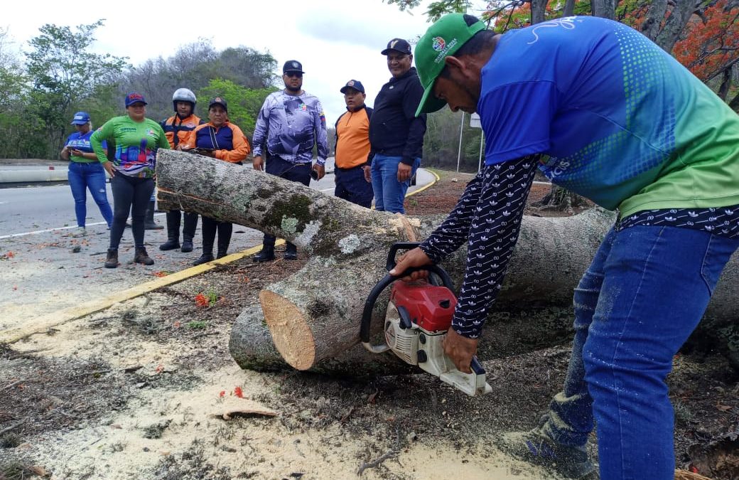 Gobierno de Charallave desplegado para atender afectaciones por lluvias