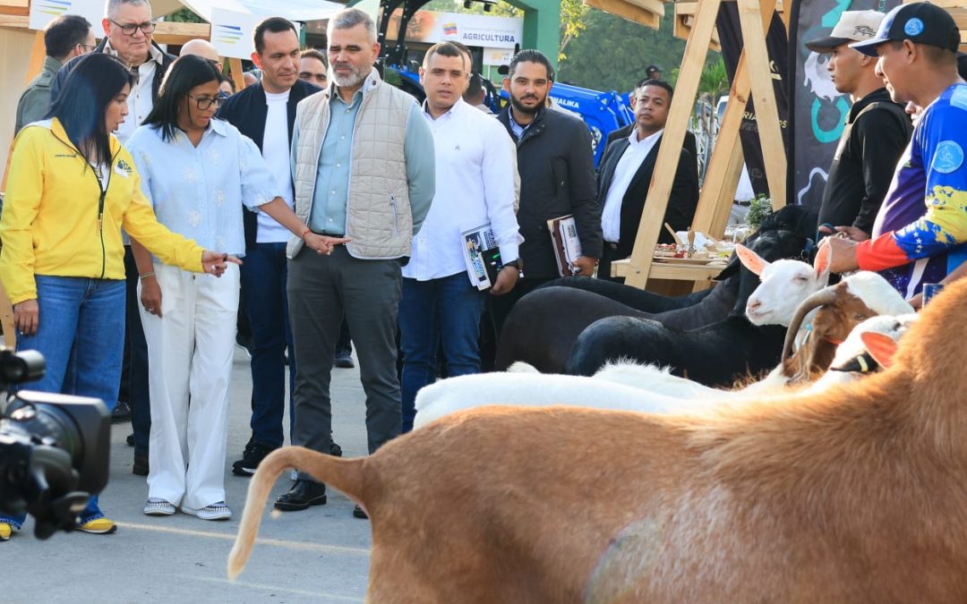 Venezuela fortalecerá exportación de lácteos bufalinos en mercados internacionales